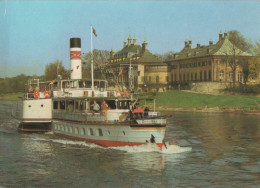 91973 - Dresden-Pillnitz - Weisse Flotte - 1988 - Pillnitz