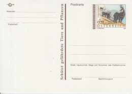Österreich, Postkarte Mi.Nr. P 554 Gams Im Gebirge - Briefkaarten