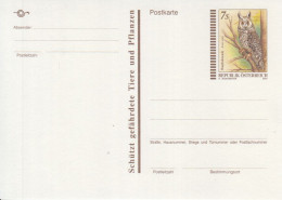 Österreich, Postkarte Mi.Nr. P 552 Waldohreule - Cartes Postales