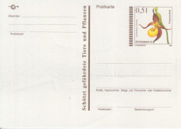 Österreich, Postkarte Mi.Nr. P 555 Frauenschuh - Cartes Postales