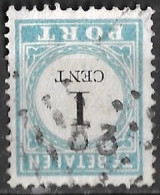 1881-1887 Puntstempel 53 Op Portzegels Lichtblauw / Zwart Cijfer : 1 Cent NVPH  P 3 D II - Postage Due