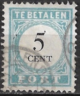 1881-1887 Portzegels Lichtblauw / Zwart Cijfer : 5 Cent NVPH  P 6 D III - Postage Due