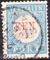 1881-1887 Portzegels Lichtblauw / Rood Cijfer : EEN Gulden NVPH  P 12 D III - Postage Due