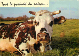 Animaux - Vaches - Carte à Message Humoristique - CPM - Voir Scans Recto-Verso - Cows