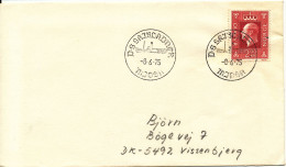 Norway Cover With Special Postmark D.S. Skibladner Mjösa 8-6-1975 - Lettres & Documents