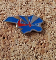 Pins Cmcas Rouen Petit Modèle - EDF GDF