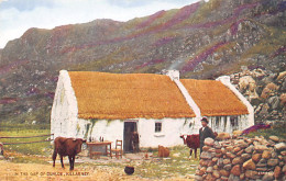 EIRE Ireland - KILLARNEY - In The Gap Of Dunloe - Kerry