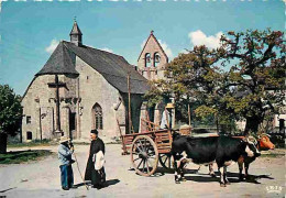 Animaux - Vaches - Limousin - Entre Bugeat Et Peyrslevade Tarnac - Son église Gothique Et Le Chêne De Sully - Attelage D - Cows