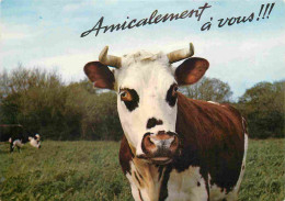 Animaux - Vaches - Carte à Message Humoristique - CPM - Voir Scans Recto-Verso - Cows