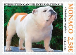 Monaco 2024 International Dog Show Stamp MNH - Unused Stamps