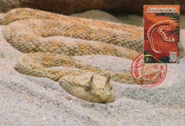 LIBYA 1996 Reptiles Snakes "Cerastes Cerastes" (maximum-card) #11 - Snakes