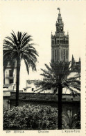 ESPANA SEVILLA  GIRALDA - Sevilla