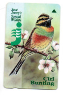 Oiseau Bird  Télécarte Save Jersey's Special Wildlife Telecom Phonecard  ( A 194) - [ 7] Jersey And Guernsey