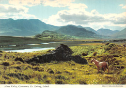 IRLAND GALWAY MAAM CONNEMARA - Galway