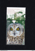 Netherlands Pays Bas 2020 Velduil Asio Flammeus MNH** - Uilen