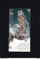 Netherlands Pays Bas 2020 Ransuil Long-eared Owl Asio Otus MNH** - Uilen