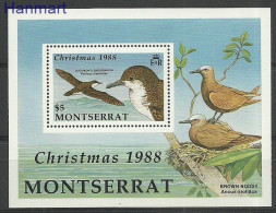 Montserrat 1988 Mi Block50 MNH  (ZS2 MNTbl50) - Marine Web-footed Birds
