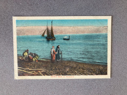 Dead Sea In Palestine Carte Postale Postcard - Palestina