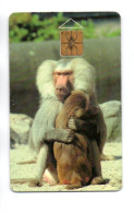 Singe Monkey  Animal Télécarte Puce  Tchéquie Phonecard (A 198) - Czech Republic