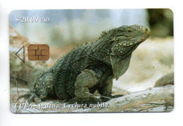 Iguane Animal Télécarte Cuba Phonecard (A 202) - Cuba