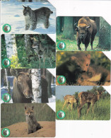 SERIE DE 7 TARJETAS DE POLONIA DE ANIMALES DE BIALOWIESKI PARK NARODOWY (LINCE-LOBO-LINX-WOLFFOX-ZORRO) - Polen