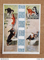 Composizione Con Gatti E Cane Autore Da Identificare Stampa Del 1926 - Autres & Non Classés