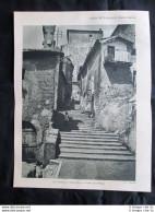 Lazio Pittoresco, Palestrina: Strada + Pozzo Dei Cappuccini Stampa Del 1928 - Other & Unclassified