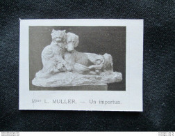 L. Muller - Una Seccatura Stampa Del 1909 - Other & Unclassified