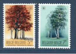 Belgique België, **, Yv 1526, 1527, Mi 1583, 1584, SG 2146, 2147, Hêtre Commun, Bouleau D'Europe, Arbres, - Unused Stamps