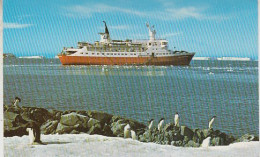 British Antarctic Territory (BAT) Lindblad Explorer Postcard Ca Argentine Island Grahamland  13 FEB 1977 (60349) - Brieven En Documenten