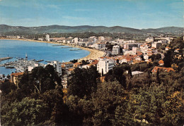 83 LE LAVANDOU Vue Panoramique  23 (scan Recto Verso)KEVREN0732 - Le Lavandou