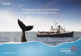 CANADA Voyages TRANSAT Grandes Baleines Octobre 2010 Ma Cabane Merveilles De L'ouest 85 (scan Recto Verso)KEVREN0768 - Cartes Modernes