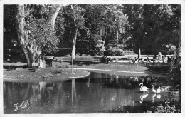 03 VICHY Bassin Du Grand Parc D'allier N° 87 \KEVREN0774 - Vichy