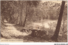 AMCP8-0767-39 - JURA-TOURISTE - Sous-bois Au Lac De BONLIEU - Lons Le Saunier