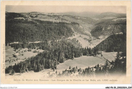 AMCP8-0708-39 - Route De MOREZ  Aux Rousses - Les Gorges De La Chaille Et La Dole  - Morez