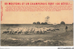 AMVP3-0334-51 - 99 Moutons Et Un Champenois Font 100 Betes - Champigny