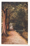 Bockhampton Path, Dorchester - Old Dorset Postcard - Other & Unclassified