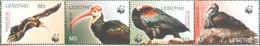 LESOTHO 2004 - W.W.F. - Southern Bald Ibis - Bande De 4 - Ungebraucht