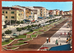 LIDO DI CAMAIORE - Viali Lungomare - 1959 (c1496) - Lucca