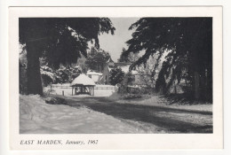 East Marden - After Snowfall January, 1962 - Sussex Postcard - Otros & Sin Clasificación