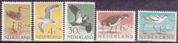 1961-Olanda (MNH=**) S.5v."Uccelli"catalogo Euro 10,5 - Nuevos