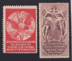 1906-Italia (NG=no Gum) Due Erinnofili Esposizione Internazionale Di Milano 1906 - Mint/hinged