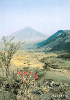 1 AK Tansania * Der Ol Doinyo Lengai Ein Aktiver Vulkan - Für Die Massai Ist Der Ol Doinyo Lengai Der Gottesbeg - Tanzania