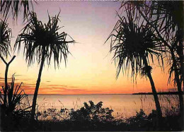 Australie - Darwin - Sunset Over Fannie Bay With Pandanus Palms Framing The Tropic Waters - CPM - Voir Scans Recto-Verso - Darwin