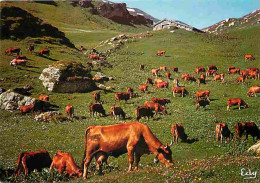 Animaux - Vaches - Paturages De Montagnes - Carte Neuve - CPM - Voir Scans Recto-Verso - Cows