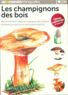 Les Champignons Des Bois (2019) De Collectif - Nature