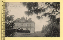 85. SAINT-HILAIRE-DE-MORTAGNE – Château De La Plissonnière (voir Scan Recto/verso) - Mortagne Sur Sevre