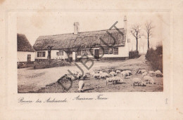 Postkaart/Carte Postale - Bevere Lez Audenaerde - Ancienne Ferme  (C6230) - Oudenaarde