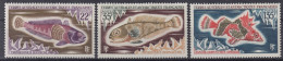 TIMBRE TAAF SERIE POISSONS 1972 N° 43/45 NEUFS ** GOMME SANS CHARNIERE - Unused Stamps