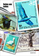 Guinea Bissau 2023, WWF On Stamp, Pellican, Birds, BF - Marine Web-footed Birds